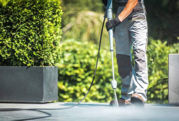 Best Animal Enclosure Cleaning  in Inwood, NY